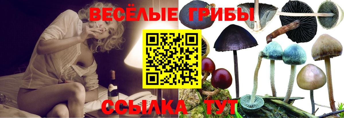 цена   Вход с VPN  Полысаево  Галлюциногенные грибы прущие грибы 